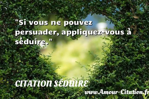 Si vous ne pouvez persuader, appliquez-vous à séduire.  CITATION SÉDUIRE