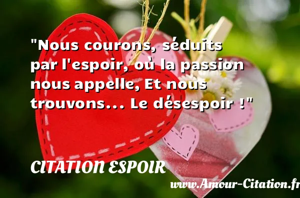 Nous courons, séduits par l espoir, où la passion nous appelle, Et nous trouvons... Le désespoir !  CITATION ESPOIR