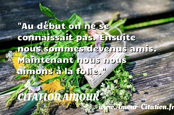 Au début on ne se connaissait pas. Ensuite nous sommes devenus amis. Maintenant nous nous aimons à la folie.  CITATION AMOUR
