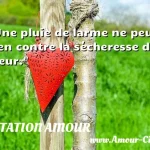  Une pluie de larme ne peut rien contre la sécheresse du cœur.  CITATION AMOUR