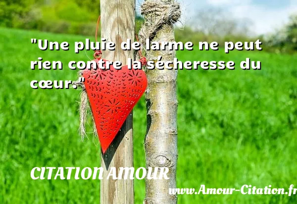 Une pluie de larme ne peut rien contre la sécheresse du cœur.  CITATION AMOUR