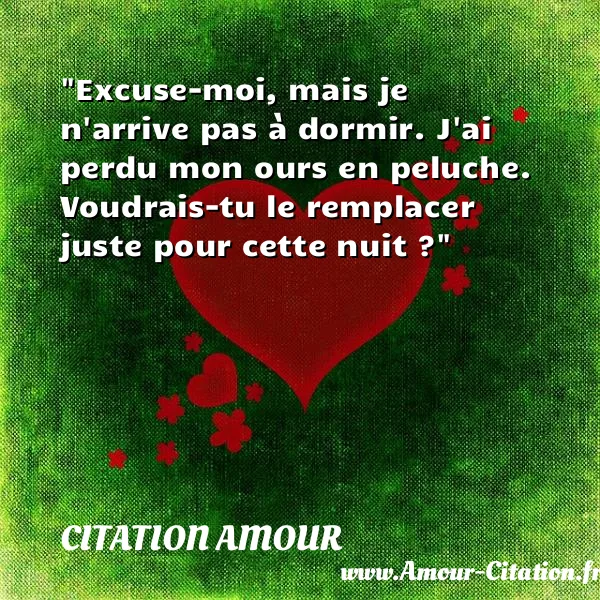 Excuse-moi, mais je n arrive pas à dormir. J ai perdu mon ours en peluche. Voudrais-tu le remplacer juste pour cette nuit ?  CITATION AMOUR