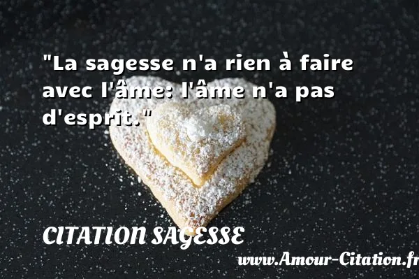 La sagesse n a rien à faire avec l âme: l âme n a pas d esprit.  CITATION SAGESSE