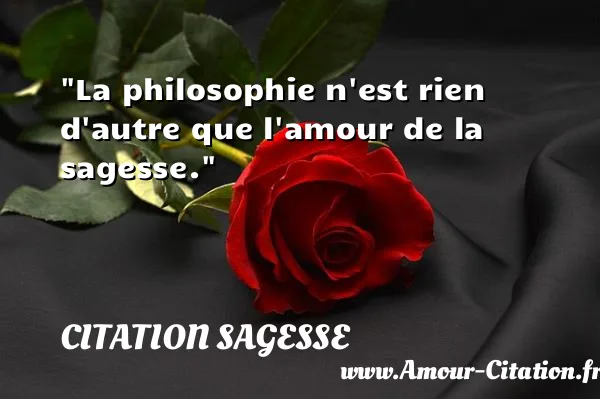 La philosophie n est rien d autre que l amour de la sagesse.  CITATION SAGESSE