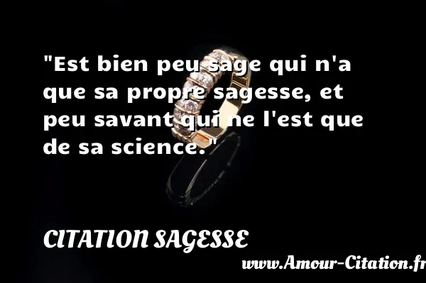 Est bien peu sage qui n a que sa propre sagesse, et peu savant qui ne l est que de sa science.  CITATION SAGESSE