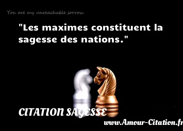 Les maximes constituent la sagesse des nations.  CITATION SAGESSE