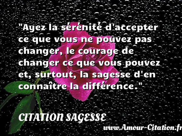 Ayez la sérénité d accepter ce que vous ne pouvez pas changer, le courage de changer ce que vous pouvez et, surtout, la sagesse d en connaître la différence.  CITATION SAGESSE