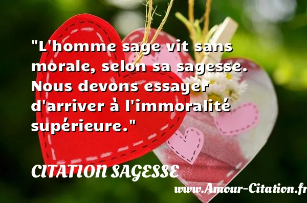 L homme sage vit sans morale, selon sa sagesse. Nous devons essayer d arriver à l immoralité supérieure.  CITATION SAGESSE