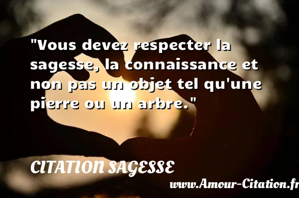Vous devez respecter la sagesse, la connaissance et non pas un objet tel qu une pierre ou un arbre.  CITATION SAGESSE