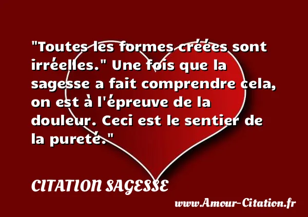 Toutes les formes créées sont irréelles.  Une fois que la sagesse a fait comprendre cela, on est à l épreuve de la douleur. Ceci est le sentier de la pureté.  CITATION SAGESSE