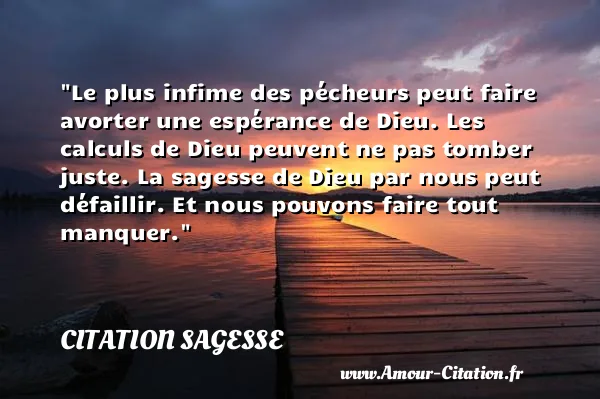 Le plus infime des pécheurs peut faire avorter une espérance de Dieu. Les calculs de Dieu peuvent ne pas tomber juste. La sagesse de Dieu par nous peut défaillir. Et nous pouvons faire tout manquer.  CITATION SAGESSE