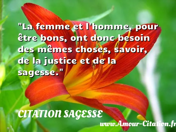 La femme et l homme, pour être bons, ont donc besoin des mêmes choses, savoir, de la justice et de la sagesse.  CITATION SAGESSE