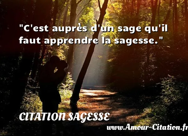 C est auprès d un sage qu il faut apprendre la sagesse.  CITATION SAGESSE