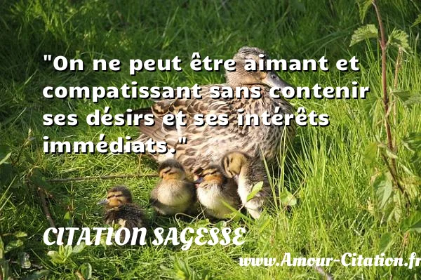 On ne peut être aimant et compatissant sans contenir ses désirs et ses intérêts immédiats.  CITATION SAGESSE