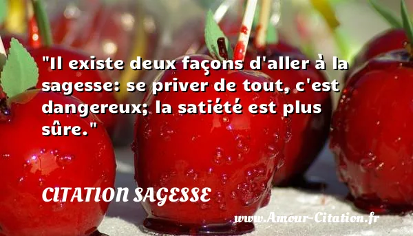 Il existe deux façons d aller à la sagesse: se priver de tout, c est dangereux; la satiété est plus sûre.  CITATION SAGESSE