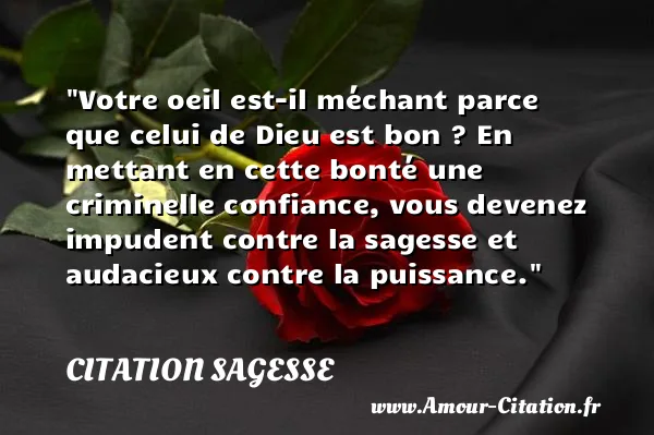 Votre oeil est-il méchant parce que celui de Dieu est bon ? En mettant en cette bonté une criminelle confiance, vous devenez impudent contre la sagesse et audacieux contre la puissance. CITATION SAGESSE