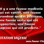  Il y a une fausse modestie qui est vanité, une fausse grandeur qui est petitesse, une fausse vertu qui est hypocrisie, une fausse sagesse qui est pruderie.  CITATION SAGESSE