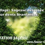  Adage: Sagesse désossée pour dents branlantes.  CITATION SAGESSE