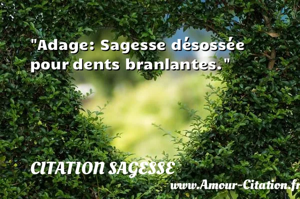 Adage: Sagesse désossée pour dents branlantes.  CITATION SAGESSE