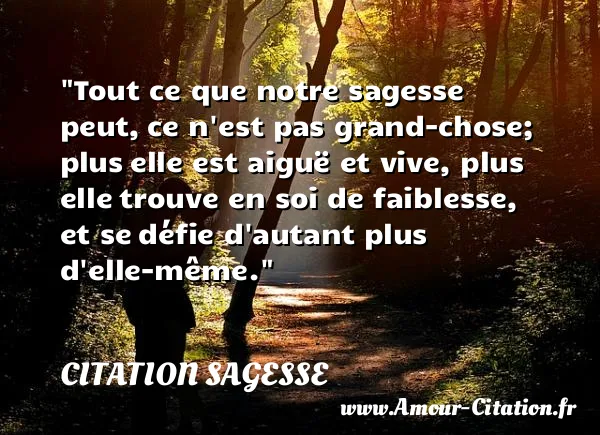 Tout ce que notre sagesse peut, ce n est pas grand-chose; plus elle est aiguë et vive, plus elle trouve en soi de faiblesse, et se défie d autant plus d elle-même.  CITATION SAGESSE