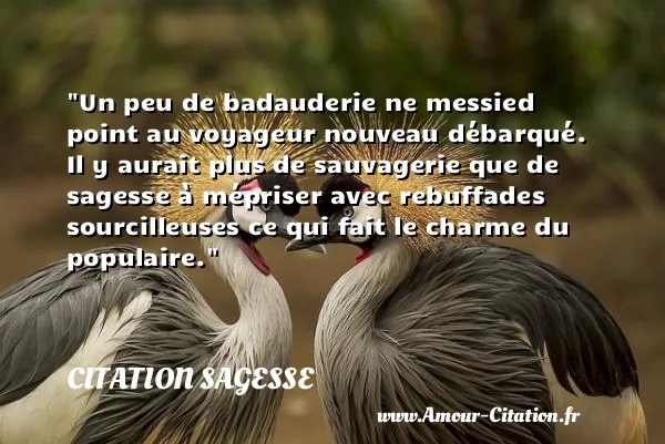 Un peu de badauderie ne messied point au voyageur nouveau débarqué. Il y aurait plus de sauvagerie que de sagesse à mépriser avec rebuffades sourcilleuses ce qui fait le charme du populaire.  CITATION SAGESSE