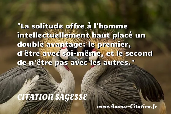 La solitude offre à l homme intellectuellement haut placé un double avantage: le premier, d être avec soi-même, et le second de n être pas avec les autres.  CITATION SAGESSE