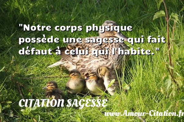Notre corps physique possède une sagesse qui fait défaut à celui qui l habite.  CITATION SAGESSE