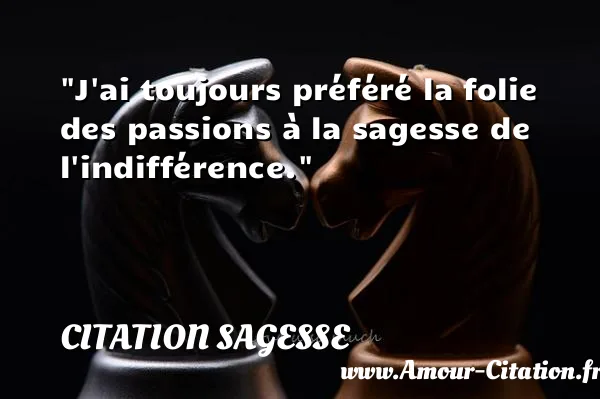 J ai toujours préféré la folie des passions à la sagesse de l indifférence. CITATION SAGESSE
