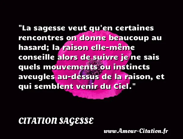La sagesse veut qu en certaines rencontres on donne beaucoup au hasard; la raison elle-même conseille alors de suivre je ne sais quels mouvements ou instincts aveugles au-dessus de la raison, et qui semblent venir du Ciel.  CITATION SAGESSE