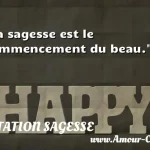  La sagesse est le commencement du beau.  CITATION SAGESSE