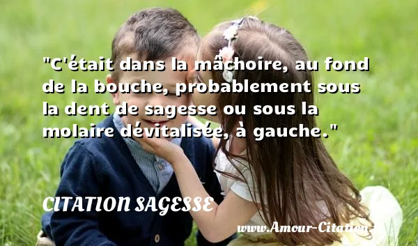 C était dans la mâchoire, au fond de la bouche, probablement sous la dent de sagesse ou sous la molaire dévitalisée, à gauche.  CITATION SAGESSE