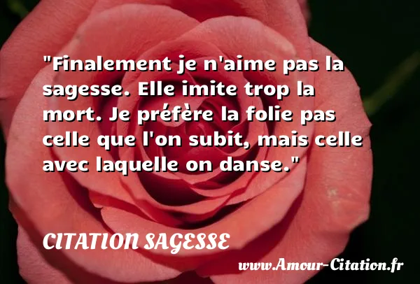Finalement je n aime pas la sagesse. Elle imite trop la mort. Je préfère la folie pas celle que l on subit, mais celle avec laquelle on danse.  CITATION SAGESSE