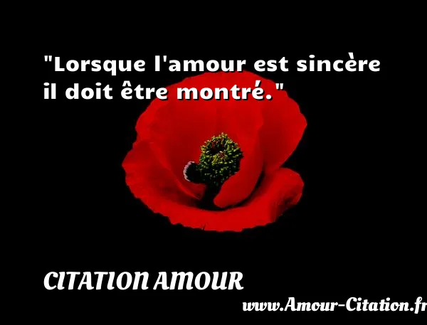 Lorsque l amour est sincère il doit être montré.  CITATION AMOUR