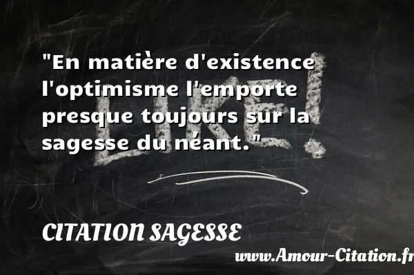 En matière d existence l optimisme l emporte presque toujours sur la sagesse du néant.  CITATION SAGESSE