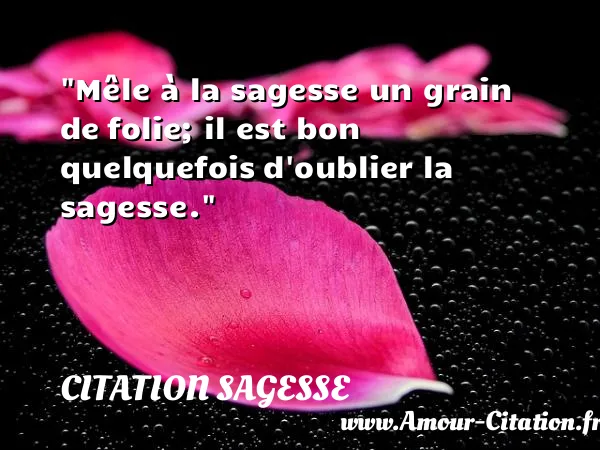Mêle à la sagesse un grain de folie; il est bon quelquefois d oublier la sagesse.  CITATION SAGESSE