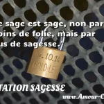 Le sage est sage, non par moins de folie, mais par plus de sagesse.  CITATION SAGESSE