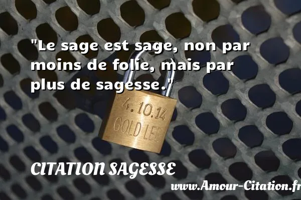 Le sage est sage, non par moins de folie, mais par plus de sagesse.  CITATION SAGESSE