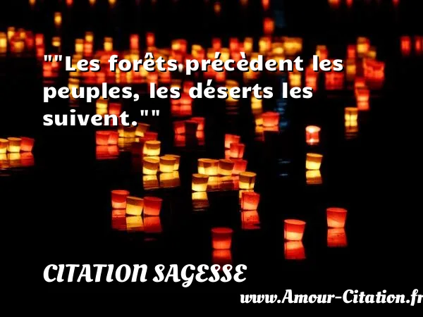 Les forêts précèdent les peuples, les déserts les suivent.   CITATION SAGESSE