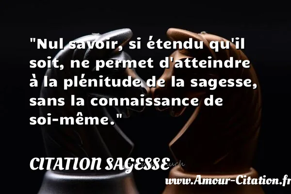 Nul savoir, si étendu qu il soit, ne permet d atteindre à la plénitude de la sagesse, sans la connaissance de soi-même. CITATION SAGESSE