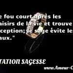  Le fou court après les plaisirs de la vie et trouve la déception; le sage évite les maux.  CITATION SAGESSE