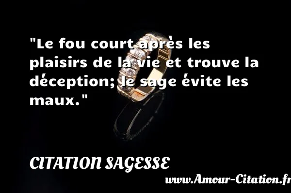 Le fou court après les plaisirs de la vie et trouve la déception; le sage évite les maux. CITATION SAGESSE