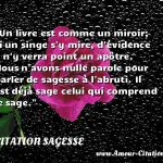 Un livre est comme un miroir; si un singe s y mire, d évidence il n y verra point un apôtre. Nous n avons nulle parole pour parler de sagesse à l abruti. Il est déjà sage celui qui comprend le sage.  CITATION SAGESSE