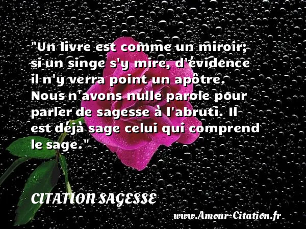 Un livre est comme un miroir; si un singe s y mire, d évidence il n y verra point un apôtre. Nous n avons nulle parole pour parler de sagesse à l abruti. Il est déjà sage celui qui comprend le sage.  CITATION SAGESSE