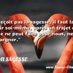  On ne reçoit pas la sagesse, il faut la découvrir soi-même, après un trajet que personne ne peut faire pour nous, ne peut nous épargner.  CITATION SAGESSE