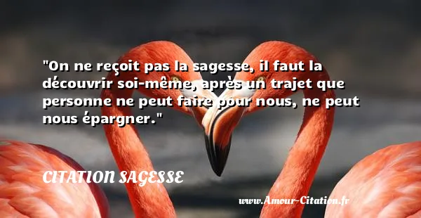 On ne reçoit pas la sagesse, il faut la découvrir soi-même, après un trajet que personne ne peut faire pour nous, ne peut nous épargner. CITATION SAGESSE