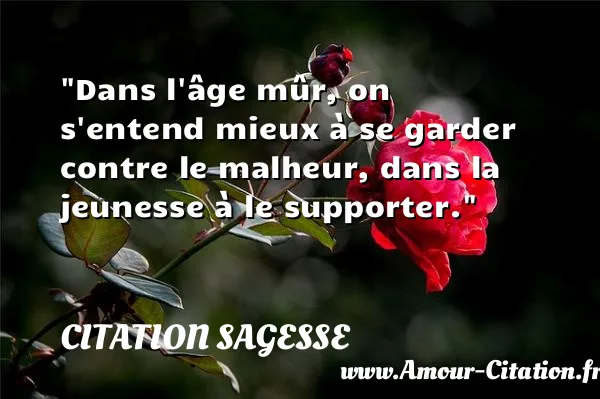 Dans l âge mûr, on s entend mieux à se garder contre le malheur, dans la jeunesse à le supporter. CITATION SAGESSE