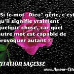  Si le mot  Dieu  gêne, c est qu il signifie vraiment quelque chose, car quel autre mot est capable de provoquer autant ?  CITATION SAGESSE