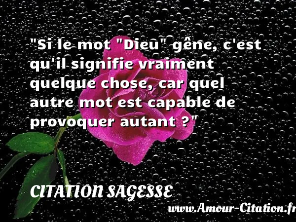 Si le mot Dieu gêne, c est qu il signifie vraiment quelque chose, car quel autre mot est capable de provoquer autant ? CITATION SAGESSE