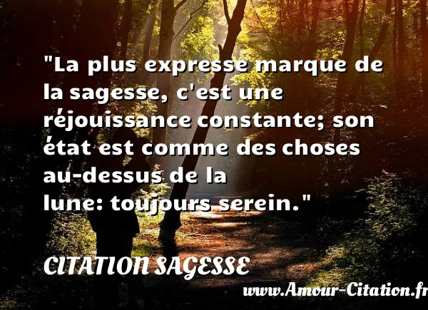 La plus expresse marque de la sagesse, c est une réjouissance constante; son état est comme des choses au-dessus de la lune: toujours serein.  CITATION SAGESSE