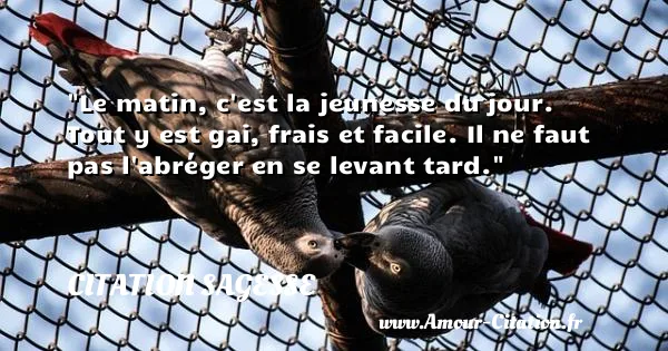 Le matin, c est la jeunesse du jour. Tout y est gai, frais et facile. Il ne faut pas l abréger en se levant tard.  CITATION SAGESSE